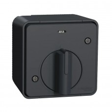 Накладний вимикач з таймером Schneider Electric Mureva Styl IP55 Чорний (MUR35067)
